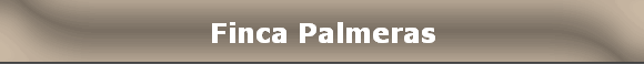 Finca Palmeras